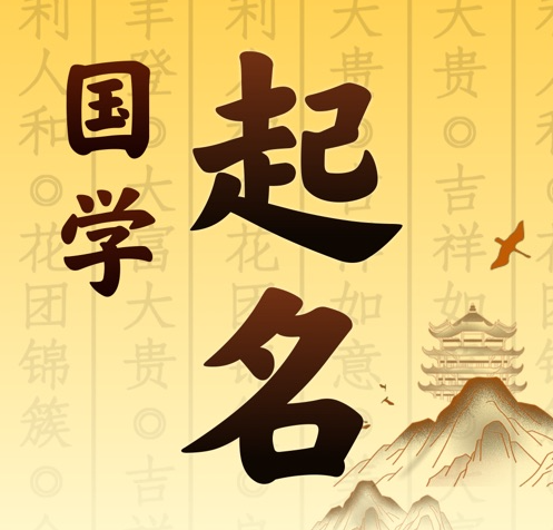 兴安国学起名 人工起名一对一